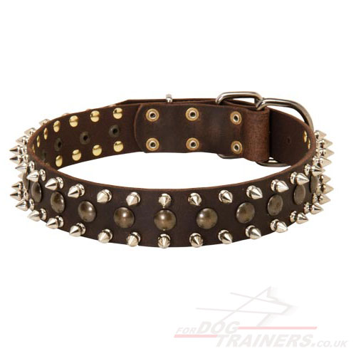 Dog Fashion Collar For Large Dogs from Producer Direclty!